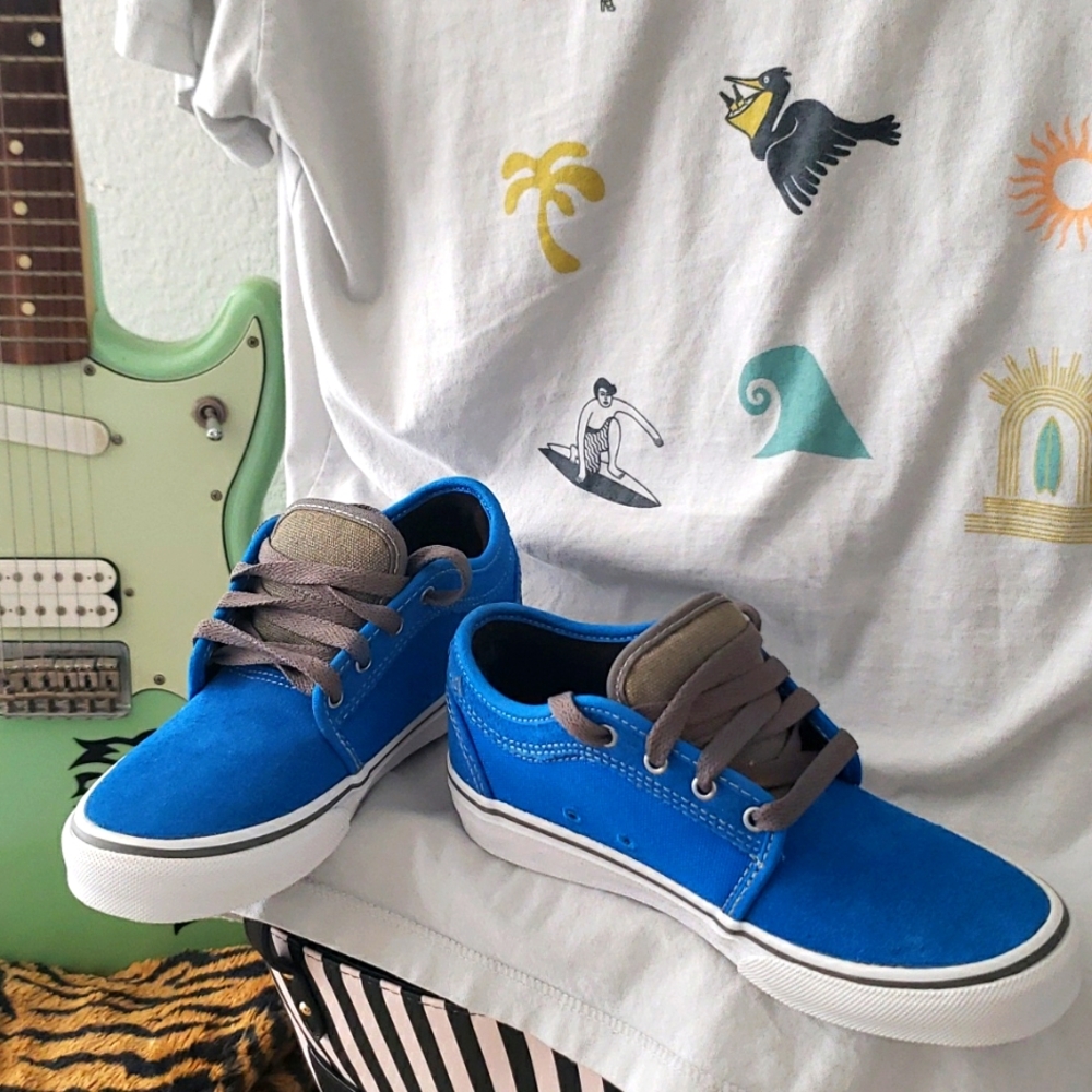 Vans skateboard sneakers